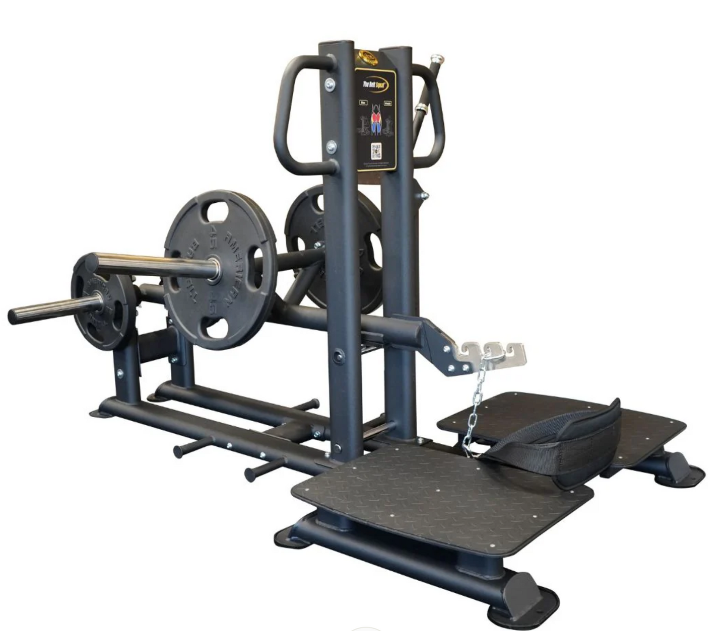 The Abs Company Belt Squat