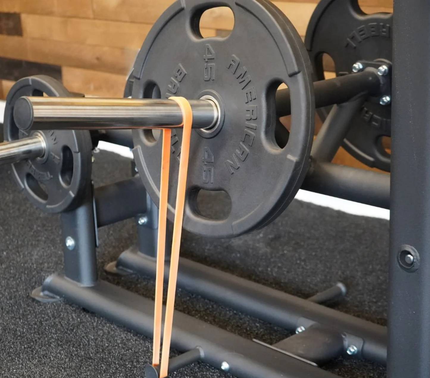 The Abs Company Belt Squat