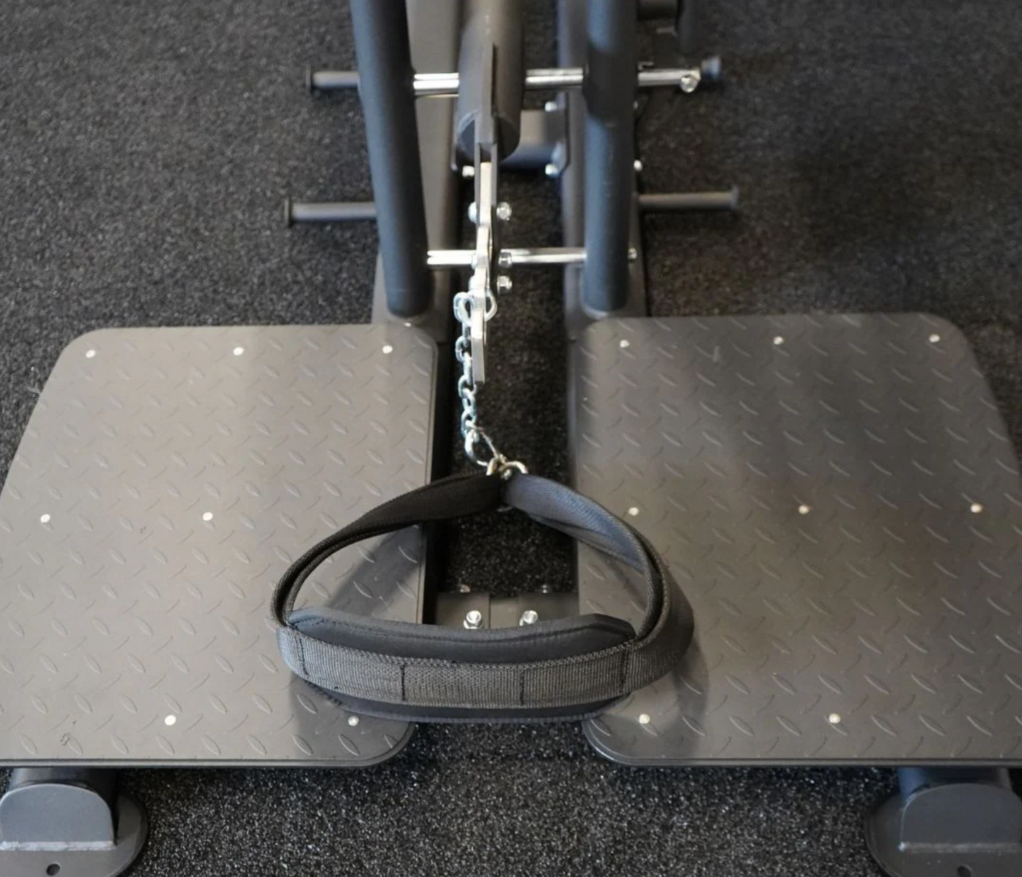 The Abs Company Belt Squat